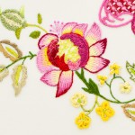 Complex Made Simple - Queen Rose - Light